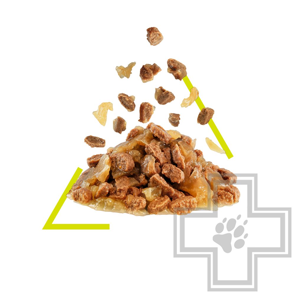 Royal Canin Sensory Smell