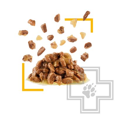 Royal Canin Sensory Taste