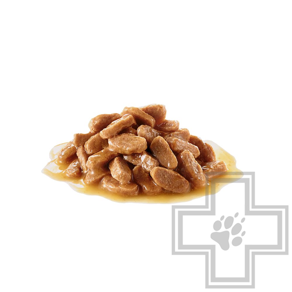 Royal Canin Medium Puppy