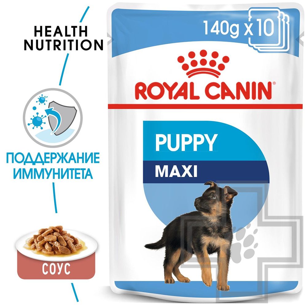 Royal Canin Maxi Puppy