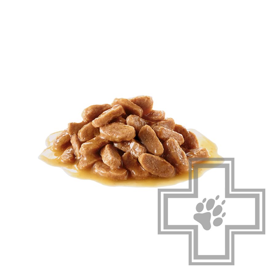 Royal Canin Maxi Puppy Royal Canin Maxi Puppy