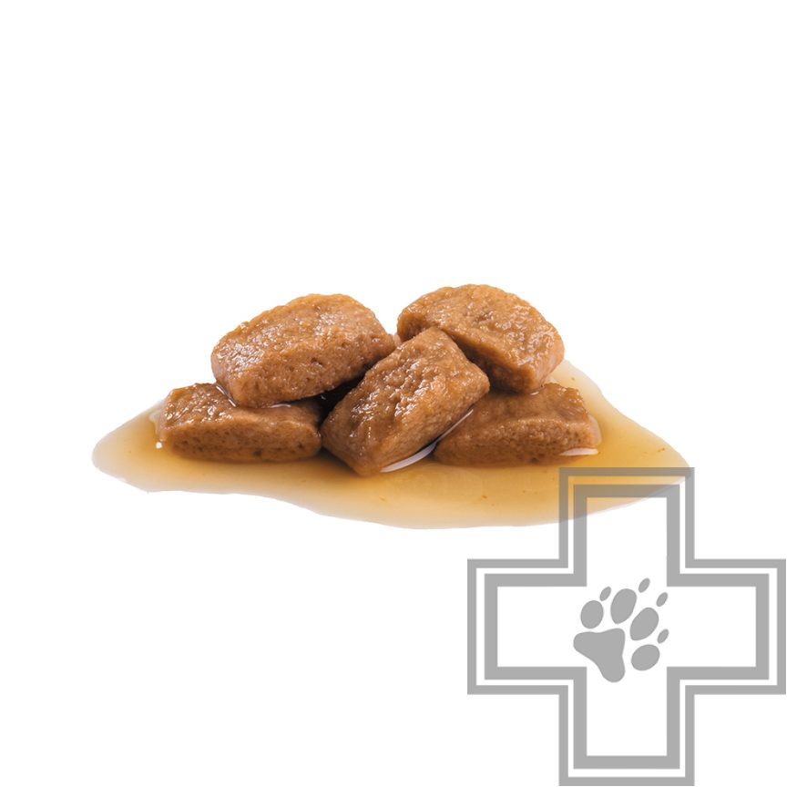 Royal Canin Maxi Adult Royal Canin Maxi Adult