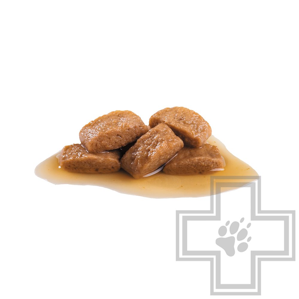 Royal Canin Maxi Adult