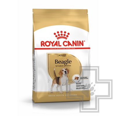 Royal Canin Beagle Adult