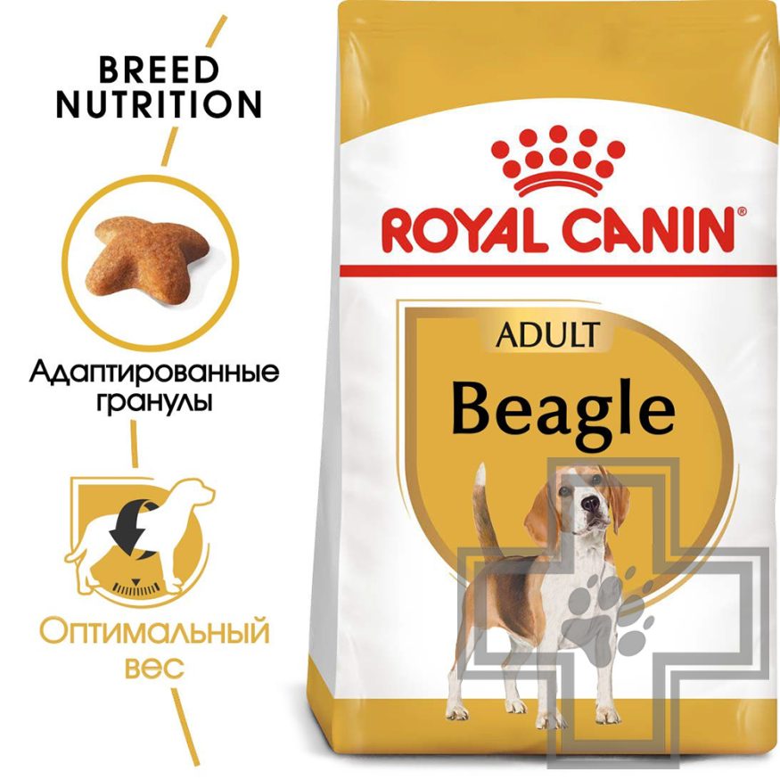 Royal Canin Beagle Adult