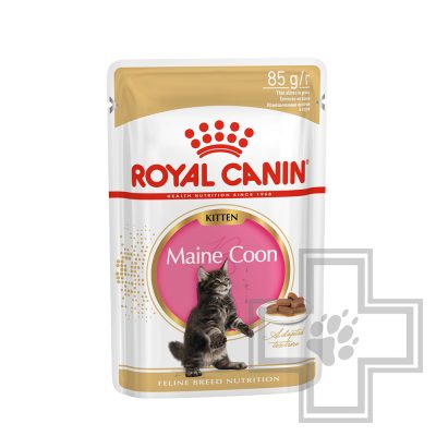 Royal Canin Maine Coon Kitten