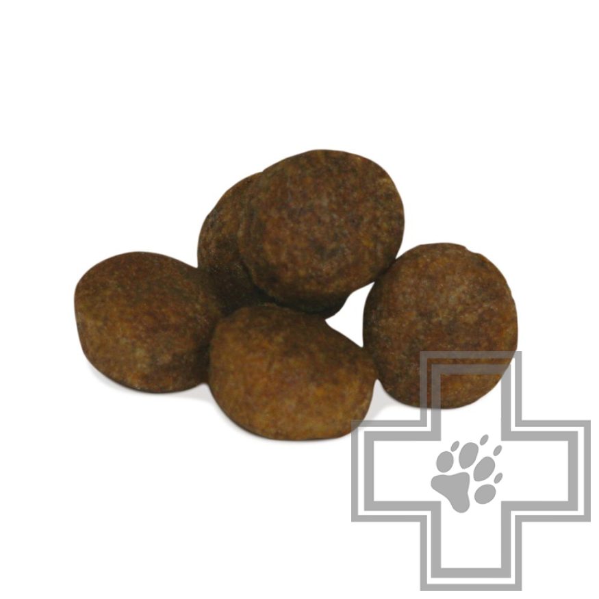 Unica Natura Mono Корм для собак средних и крупных пород, с форелью, рисом и конскими бобами