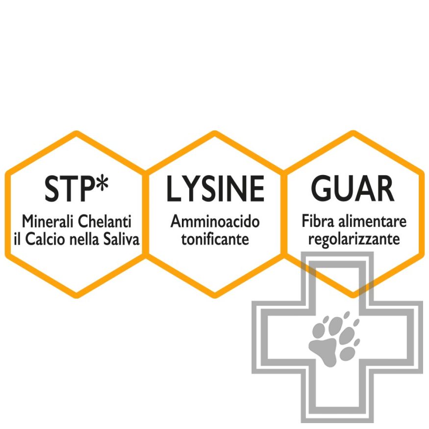 Unica Gemma Ossicini Печенье для взрослых собак всех пород, с бананом и куркумой Unica Gemma Ossicini Печенье для взрослых собак всех пород, с бананом и куркумой