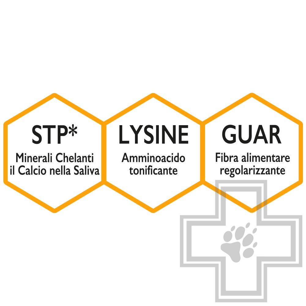 Unica Gemma Ossicini Печенье для взрослых собак всех пород, с бананом и куркумой