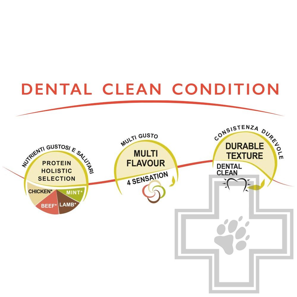 Unica Classe Adult Poker Sweet Печенье для взрослых собак крупных пород