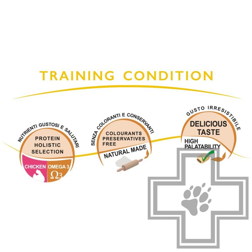 Unica Classe Adult Roller Enjoy Печенье для взрослых собак всех пород Unica Classe Adult Roller Enjoy Печенье для взрослых собак всех пород