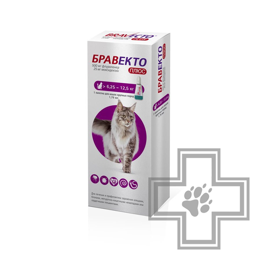 Бравекто Плюс Капли на холку от блох, клещей и гельминтов (цена за 1 пипетку) Бравекто Плюс Капли на холку от блох, клещей и гельминтов (цена за 1 пипетку)
