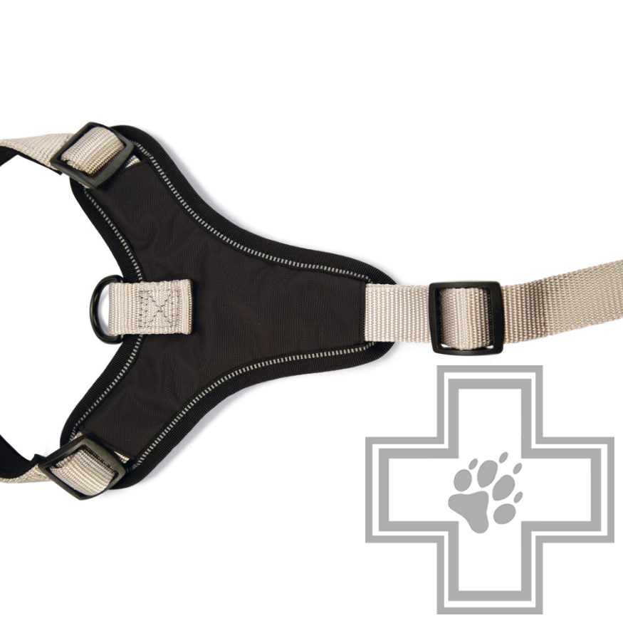 Beeztees Шлейка Parinca для собак Beeztees Шлейка Parinca для собак