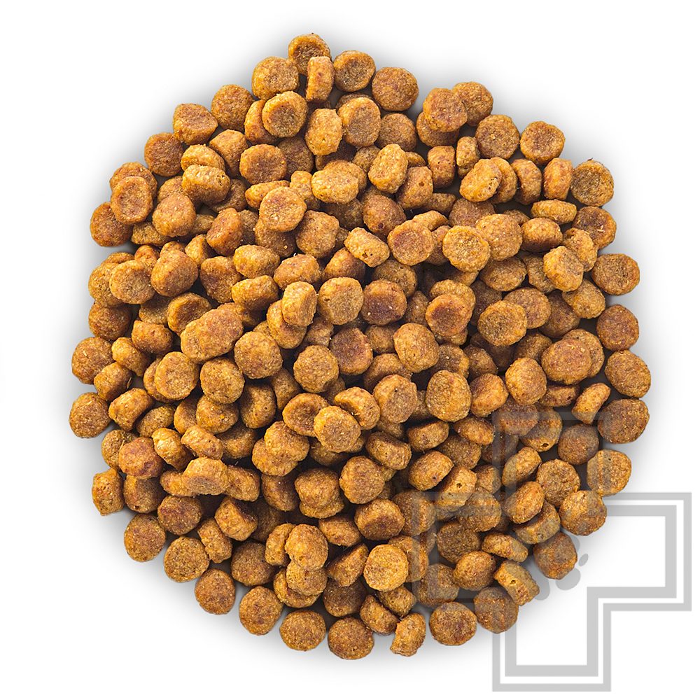 Hill's SP Корм для взрослых собак мелких пород, с курицей