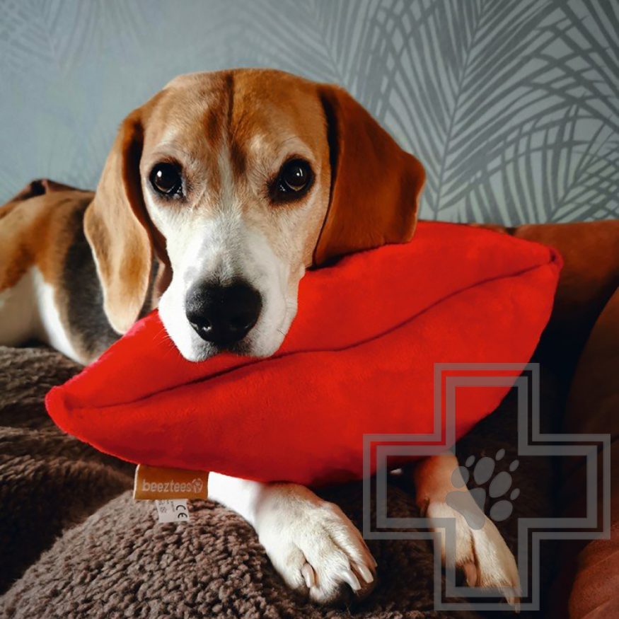 Beeztees Игрушка для собак "Поцелуй", 36 см Beeztees Игрушка для собак "Поцелуй", 36 см