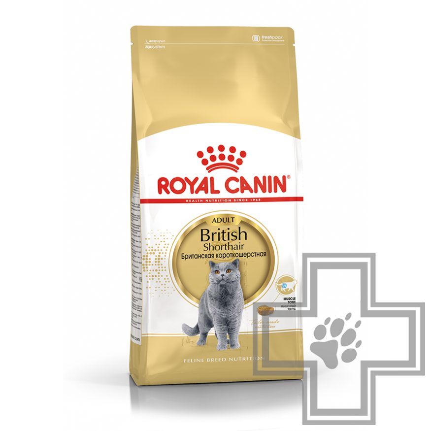 Royal Canin British Shorthair Adult