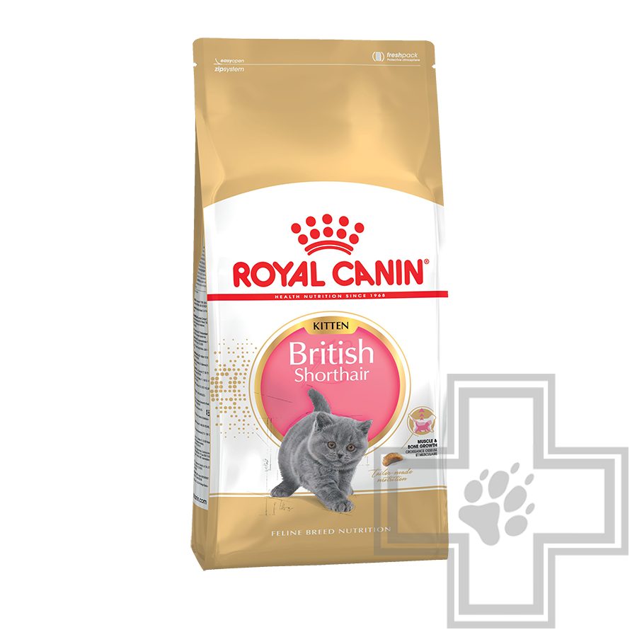 Royal Canin Kitten British Shorthair