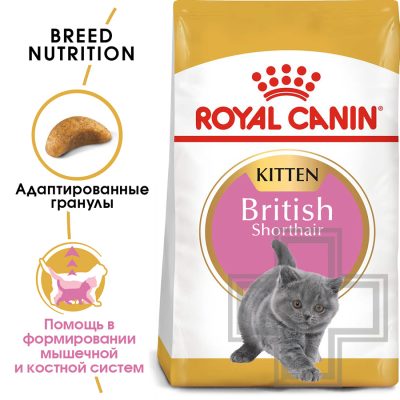 Royal Canin Kitten British Shorthair