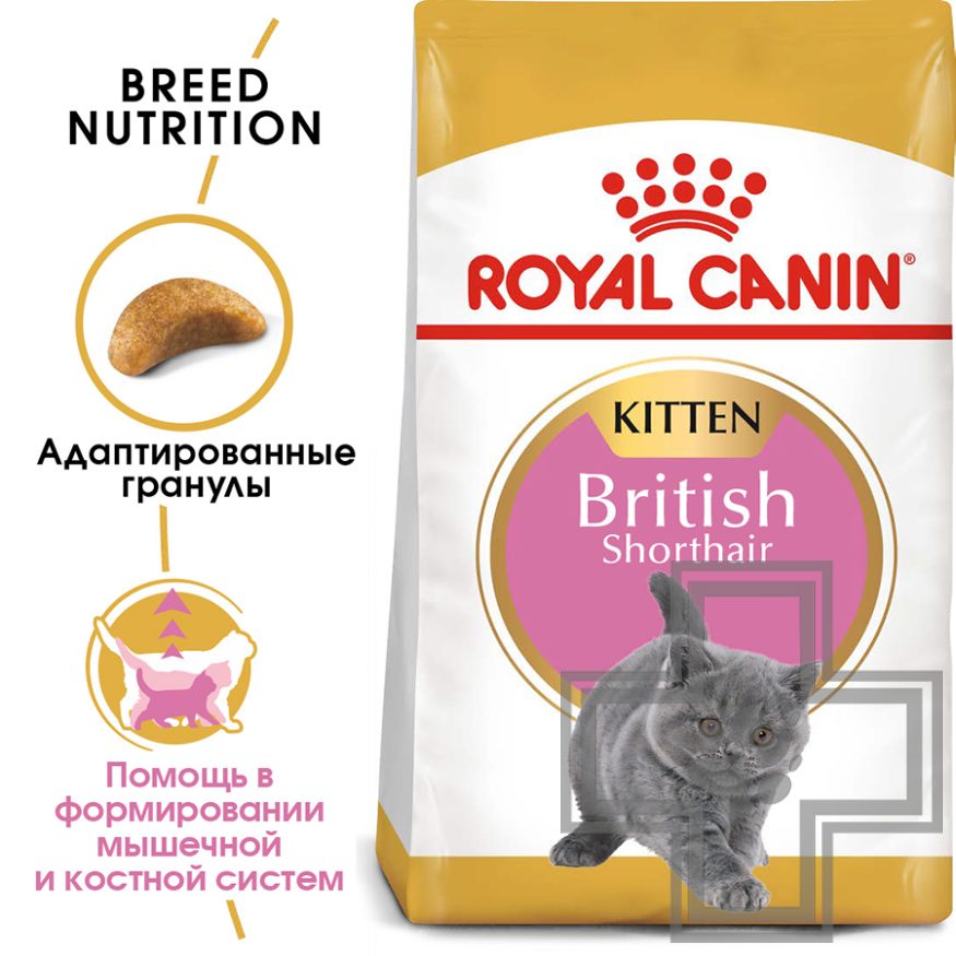 Royal Canin Kitten British Shorthair Royal Canin Kitten British Shorthair