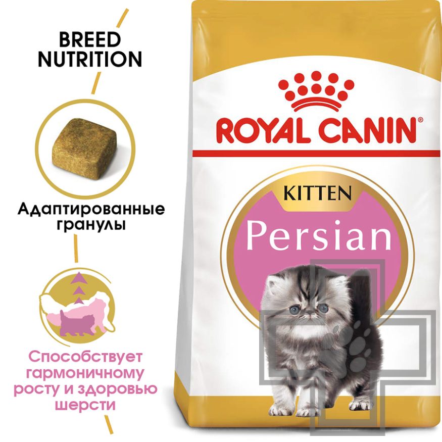 Royal Canin Kitten Persian Royal Canin Kitten Persian