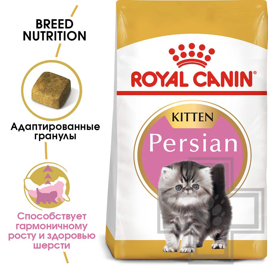 Royal Canin Kitten Persian