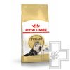 Royal Canin Persian Adult