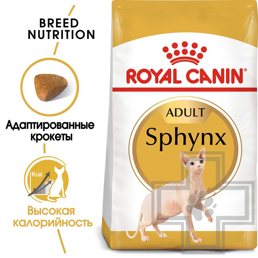 Royal Canin Sphynx Adult