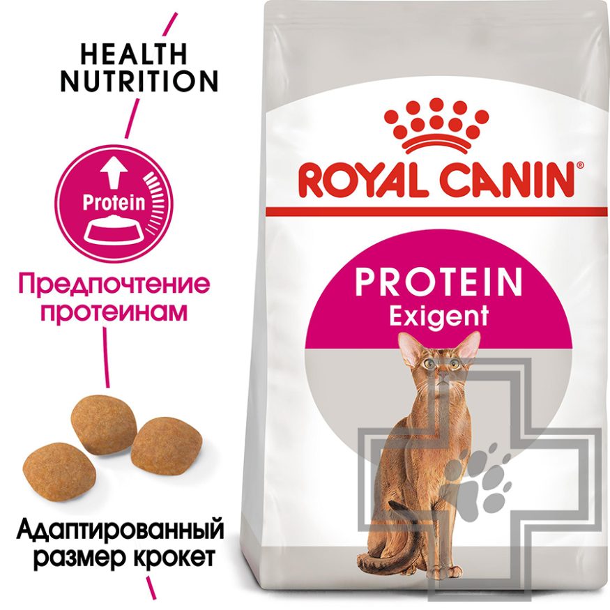 Royal Canin Protein Exigent