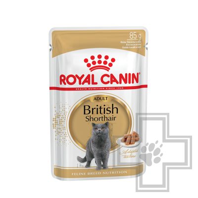 Royal Canin British Shorthair Adult