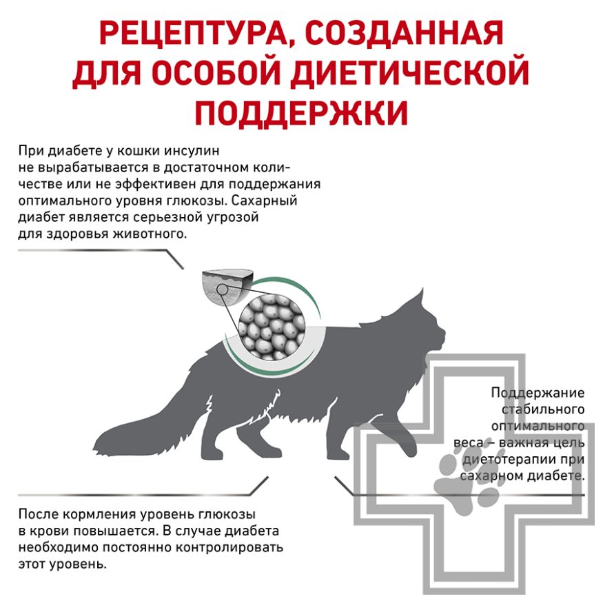 Royal Canin Diabetic Royal Canin Diabetic
