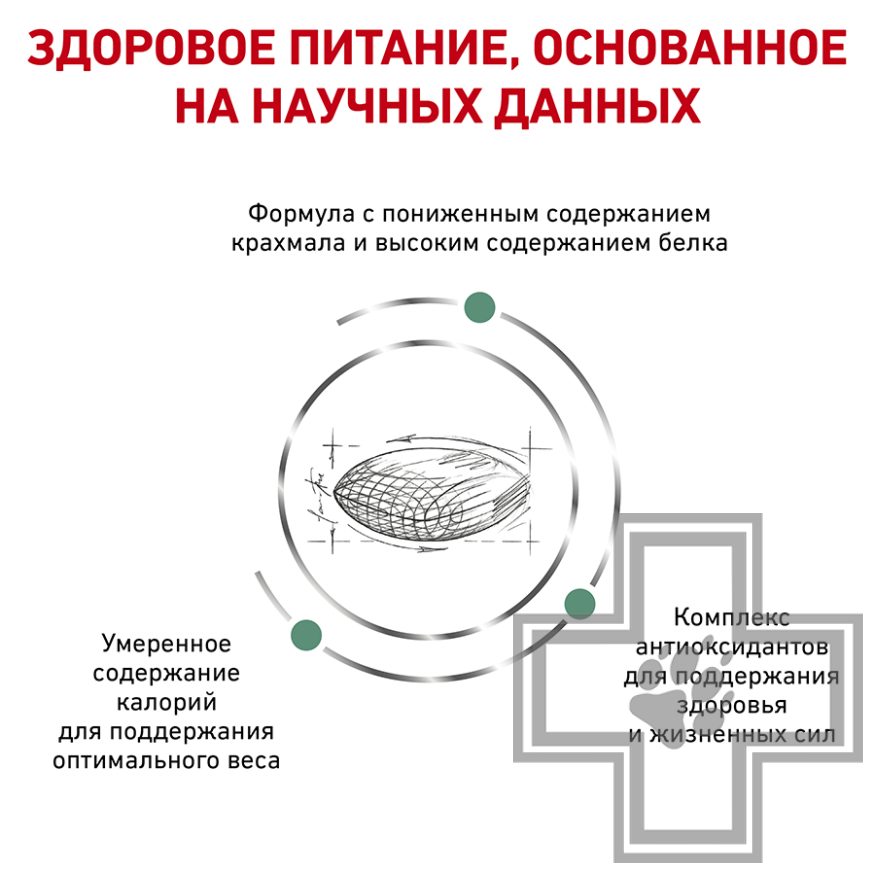 Royal Canin Diabetic Royal Canin Diabetic