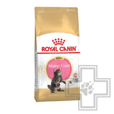 Royal Canin Maine Coon Kitten