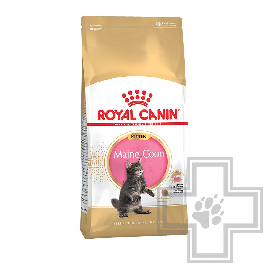 Royal Canin Maine Coon Kitten