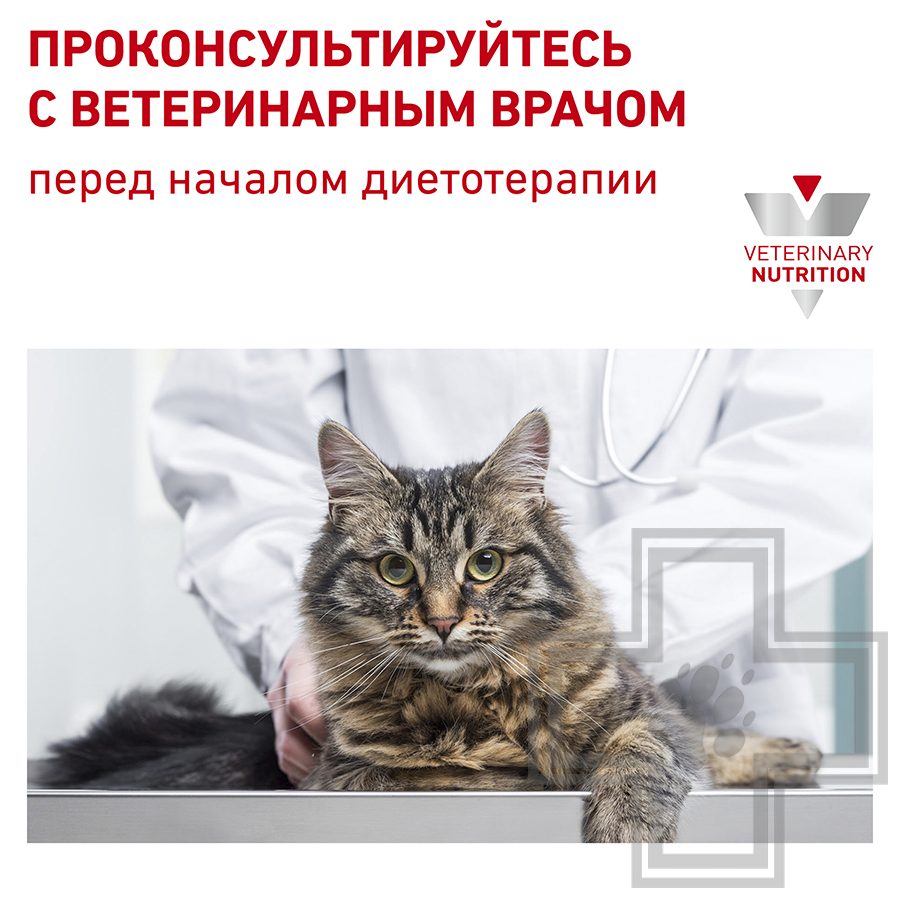 Royal Canin Hepatic