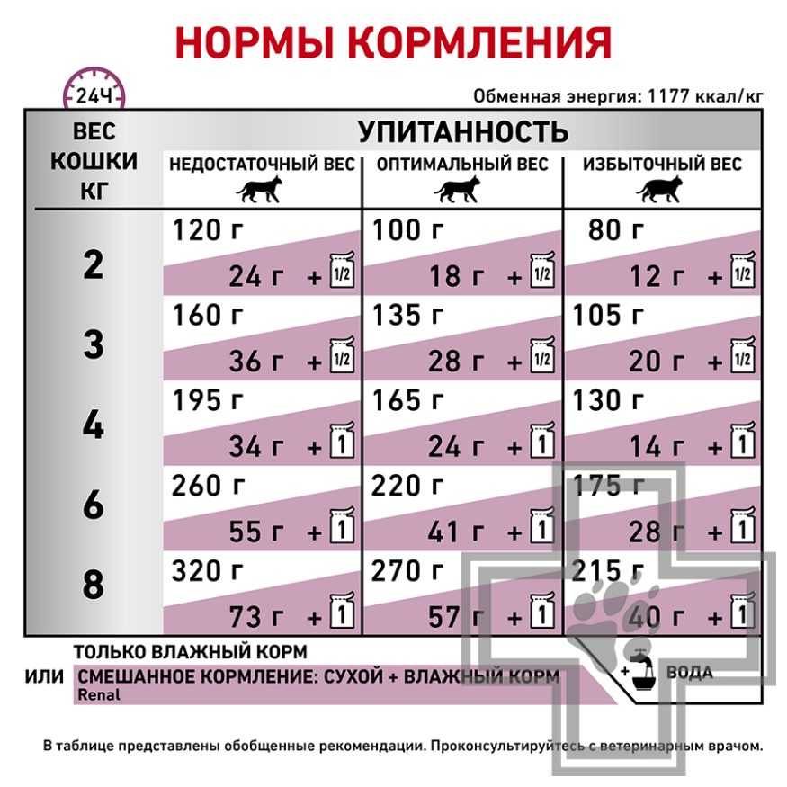 Royal Canin Renal Royal Canin Renal