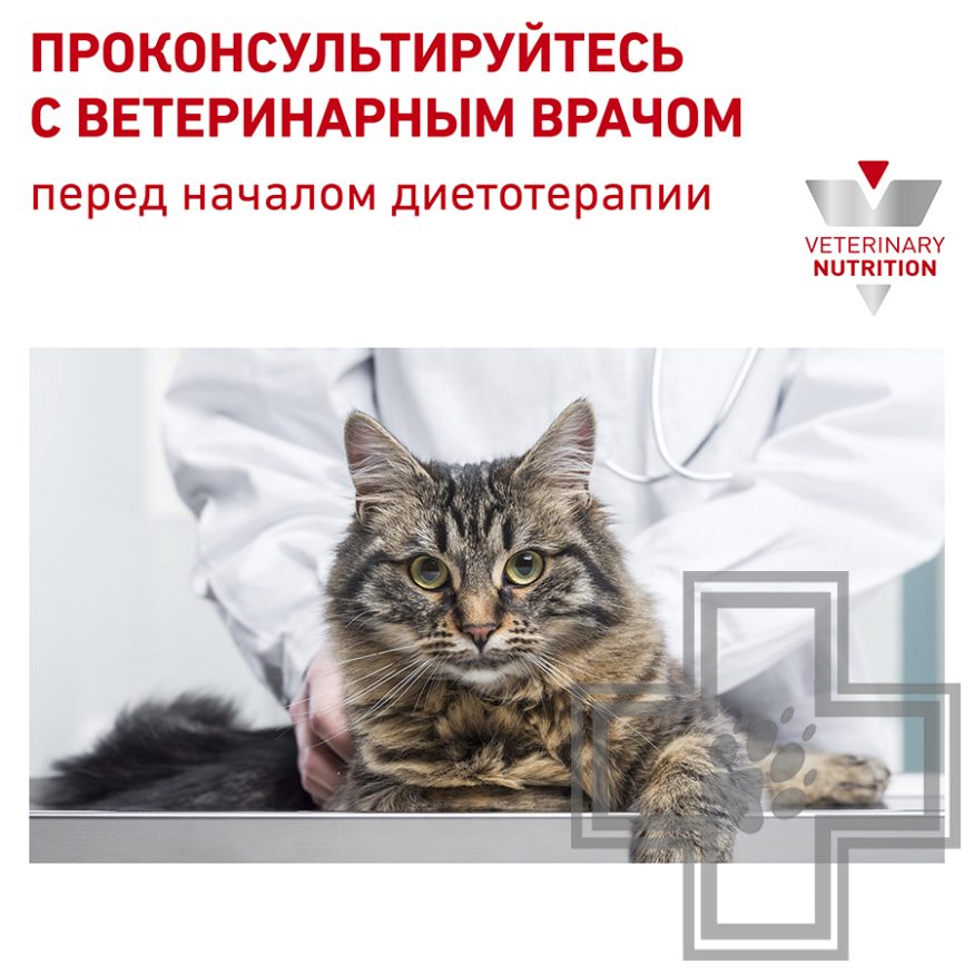 Royal Canin Renal Royal Canin Renal