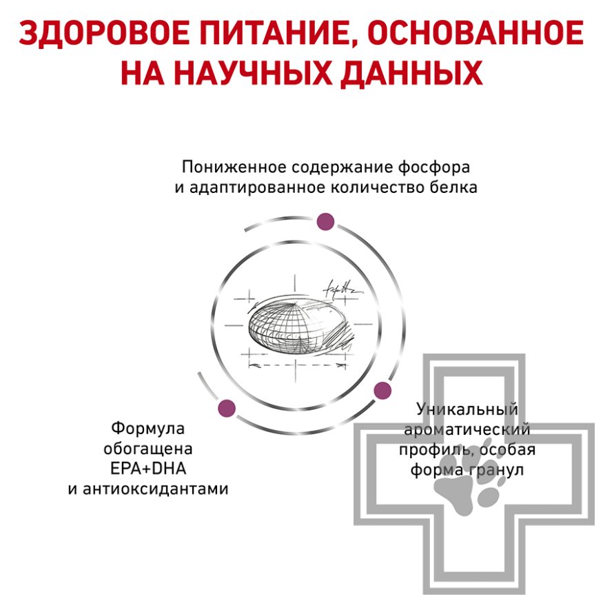 Royal Canin Renal Royal Canin Renal