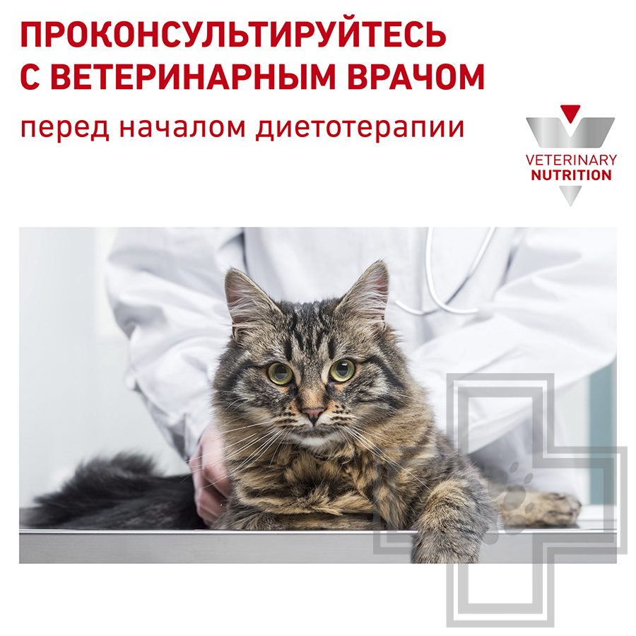 Royal Canin Renal Select
