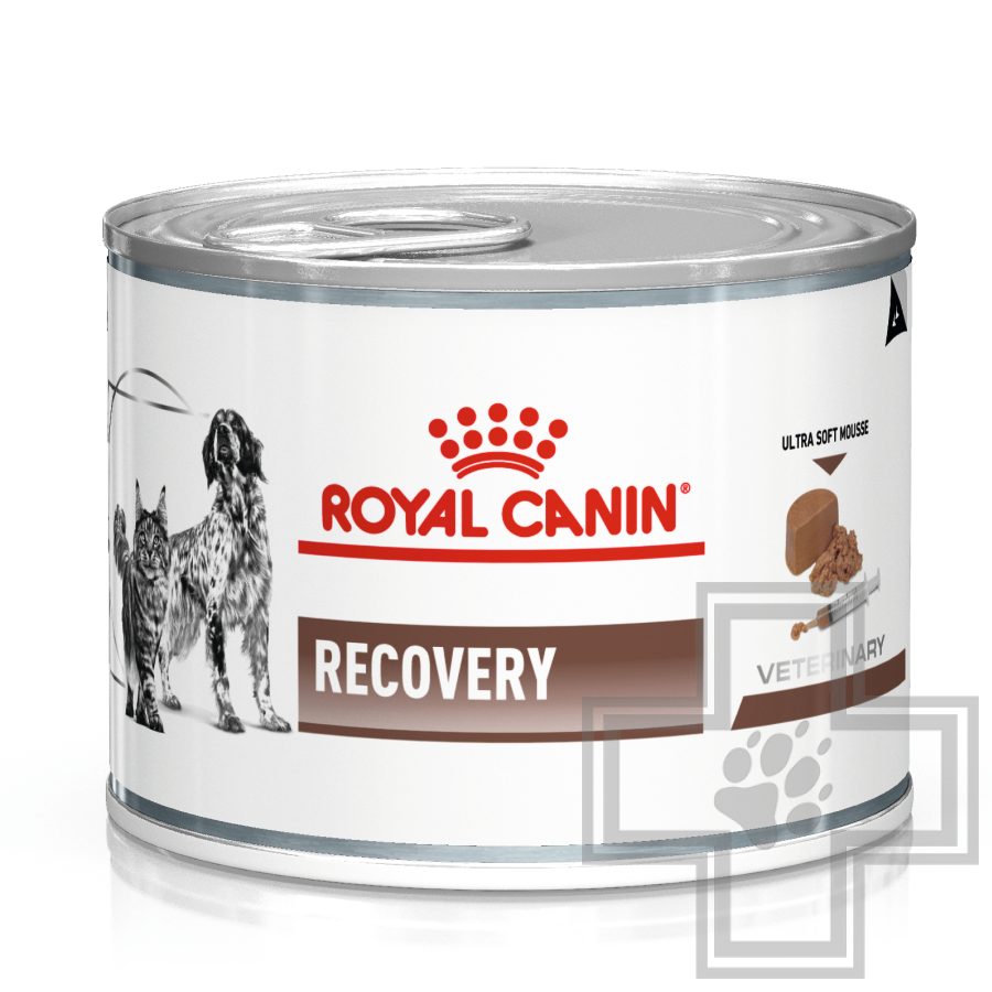 Royal Canin Recovery