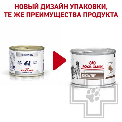 Royal Canin Recovery