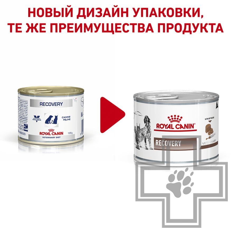 Royal Canin Recovery Royal Canin Recovery