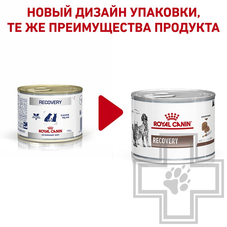 Royal Canin Recovery