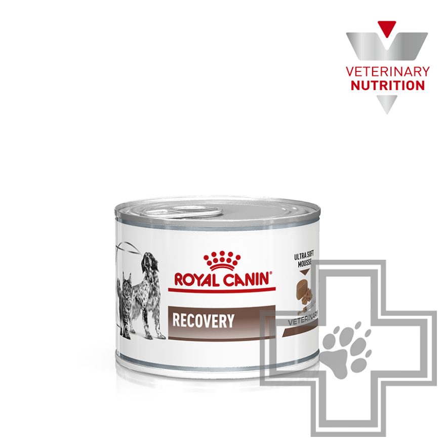 Royal Canin Recovery Royal Canin Recovery
