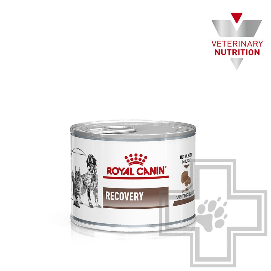 Royal Canin Recovery