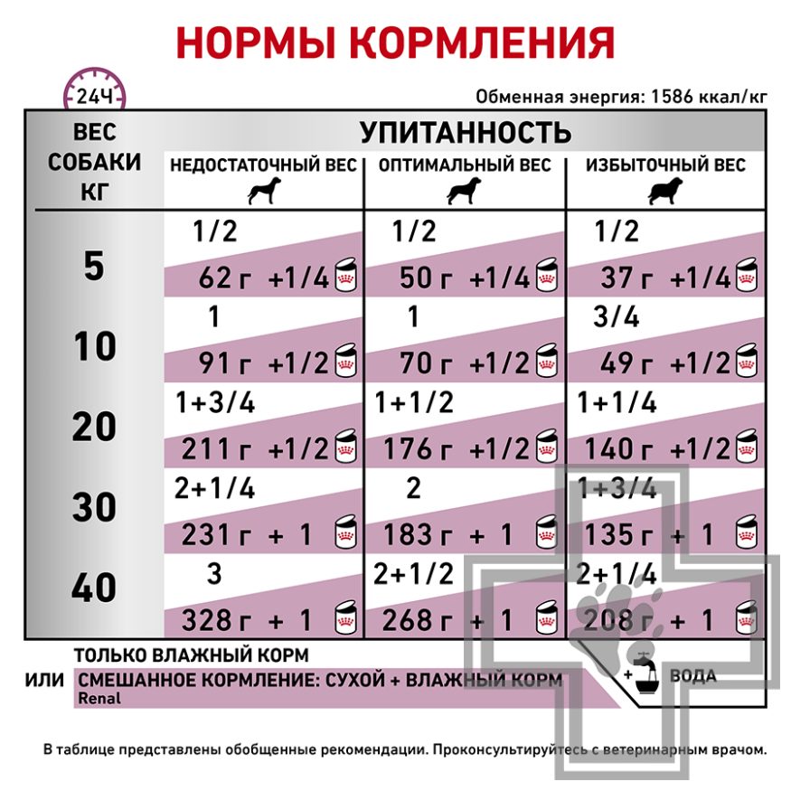Royal Canin Renal Royal Canin Renal