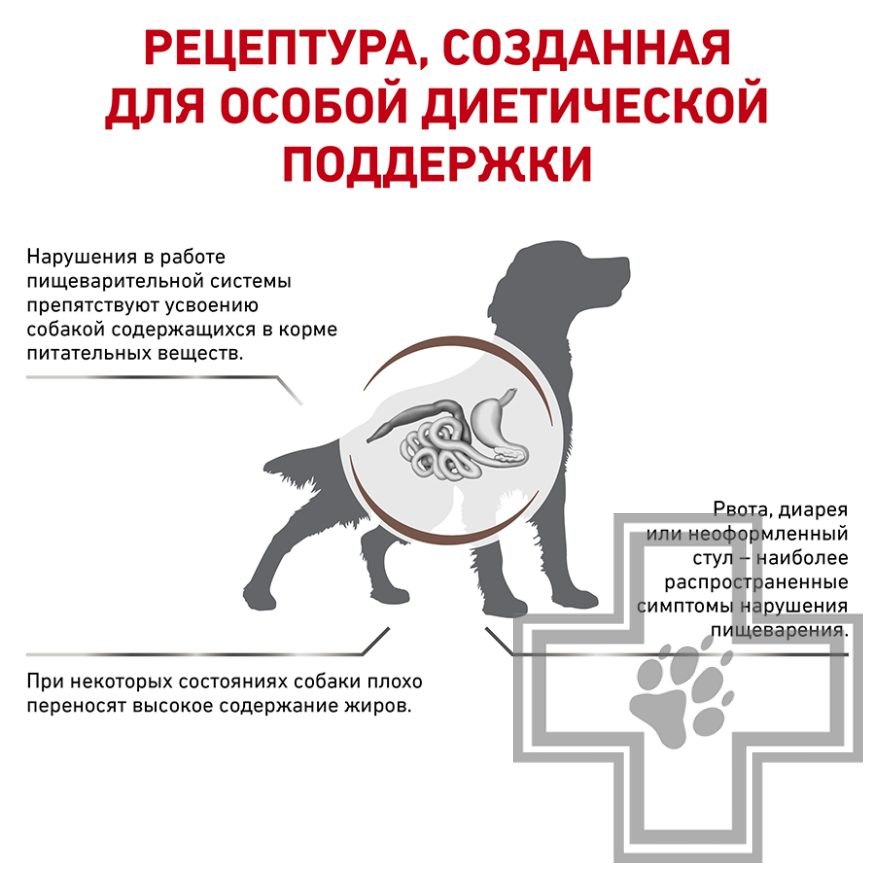 Royal Canin Gastro Intestinal Low Fat Royal Canin Gastro Intestinal Low Fat