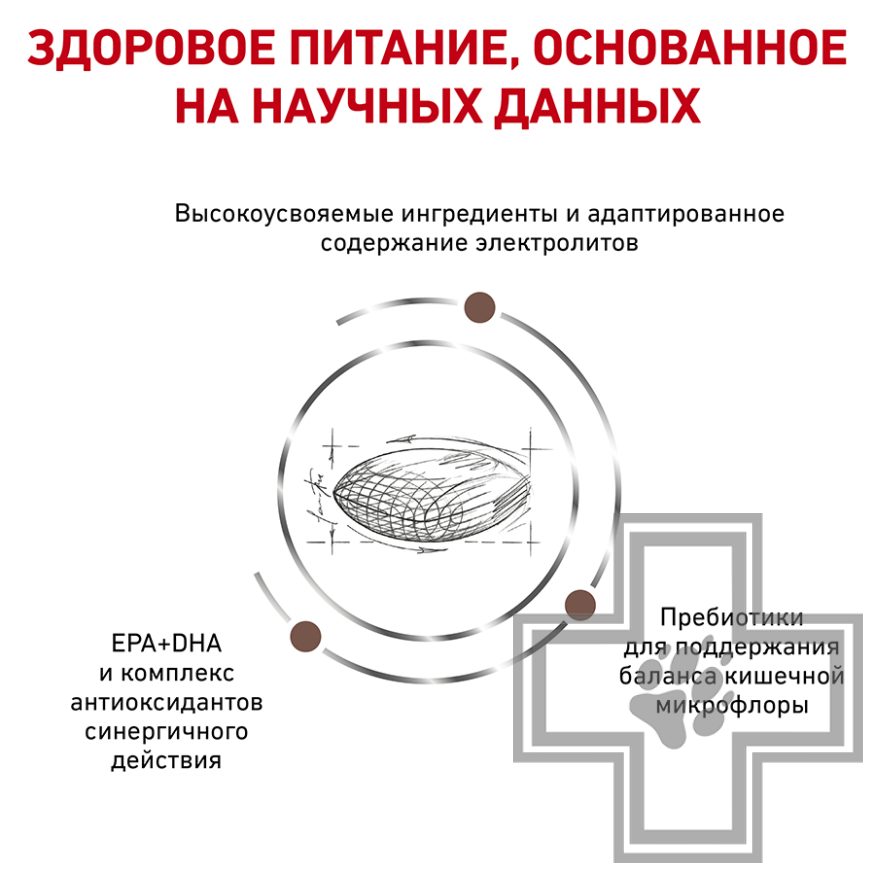 Royal Canin Gastro Intestinal Low Fat Royal Canin Gastro Intestinal Low Fat