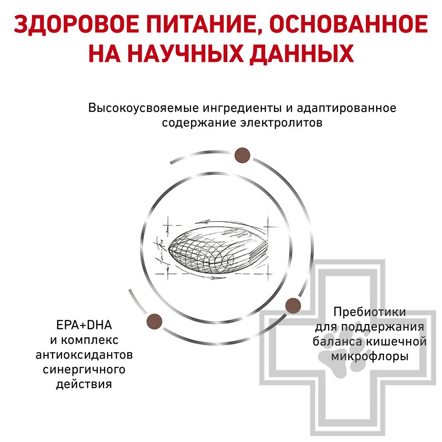 Royal Canin Gastro Intestinal Low Fat