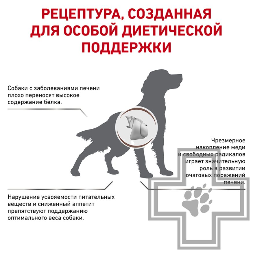 Royal Canin Hepatic Royal Canin Hepatic