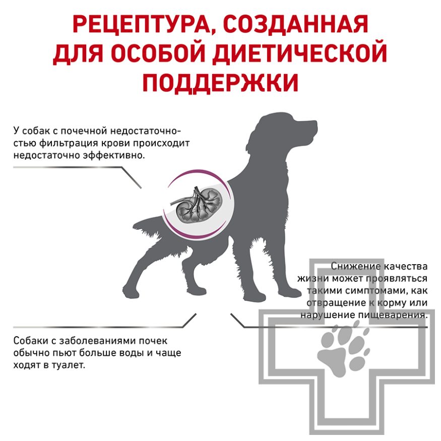 Royal Canin Renal Royal Canin Renal